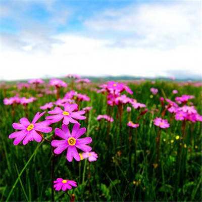 ayx爱游戏全站手机app下载截图